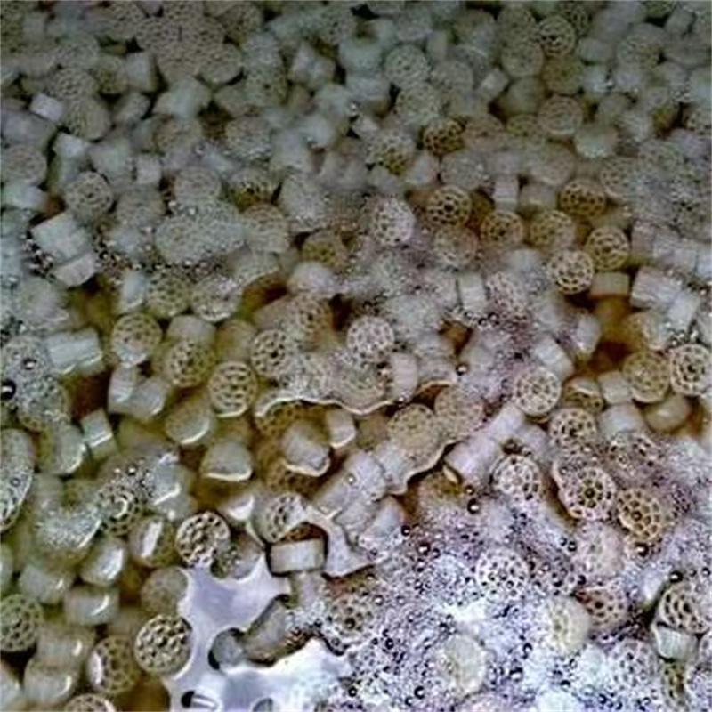 Vật liệu lọc sinh học cho ao hồ